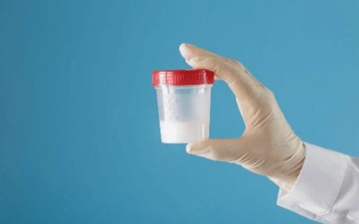 Hệ vi sinh vật ảnh hưởng thế nào tới chất lượng tinh trùng?