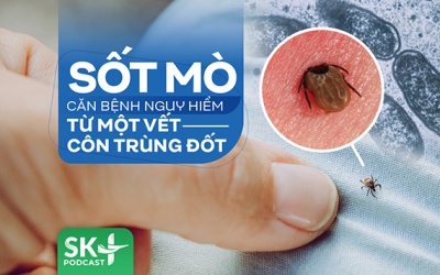 Podcast: Sốt mò - Căn bệnh nguy hiểm từ một vết côn trùng đốt