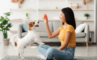 7 tuyệt chiêu khiến cún cưng yêu bạn hết mực