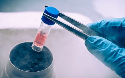 Vì sao cần xây dựng Tiêu chuẩn Quốc gia đối với sản phẩm từ tế bào?