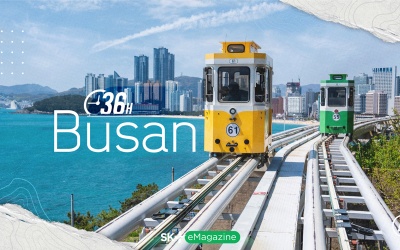 36h ở Busan