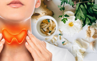 6 thảo mộc giúp tuyến giáp hoạt động nhịp nhàng hơn
