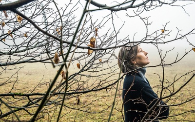 Thiên nhiên dạy con người vượt qua trầm cảm theo mùa 