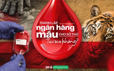 Thành lập ngân hàng máu cho sở thú: Tại sao không?