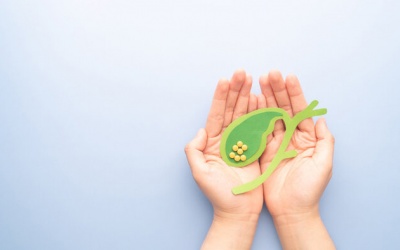 Có sỏi mật 20mm, dùng TPBVSK Kim Đởm Khang hỗ trợ được không?