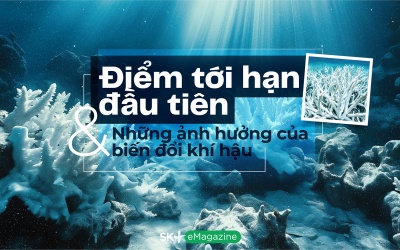 Điểm tới hạn đầu tiên và những ảnh hưởng của biến đổi khí hậu