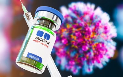 Virus cúm gia cầm hội đủ điều kiện gây ra một đại dịch mới