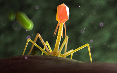 Công nghệ mới giúp tiêu diệt 99,9% vi khuẩn trong thực phẩm