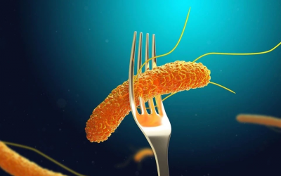 TP.HCM: Đã tìm ra 'thủ phạm' khiến hơn 80 người ngộ độc sau ăn bánh mì 