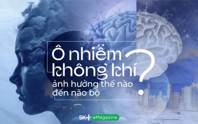 Ô nhiễm không khí ảnh hưởng thế nào đến não bộ?