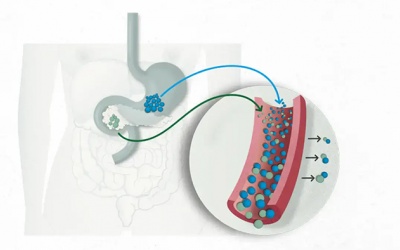 Đừng bỏ qua các dấu hiệu cảnh báo sớm bệnh đái tháo đường type 2!