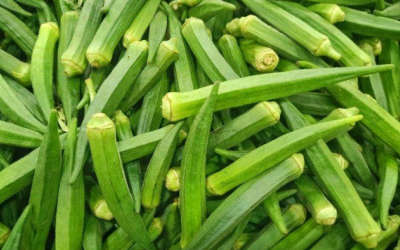 Đậu bắp: Bạn đồng hành của người bệnh đái tháo đường