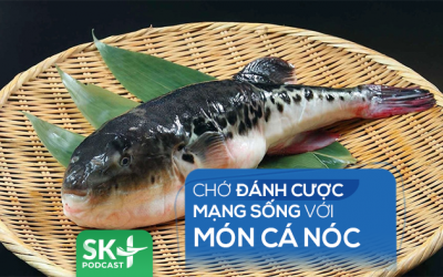 Podcast: Chớ đánh cược mạng sống với món cá nóc