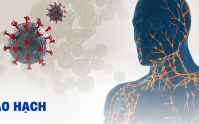 Nguy cơ nhiễm lao hạch ở người suy giảm miễn dịch