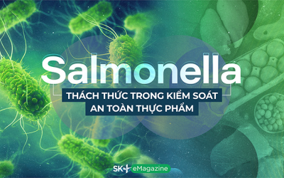 Salmonella - Thách thức trong kiểm soát an toàn thực phẩm 