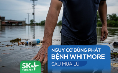 Podcast: Nguy cơ bùng phát bệnh Whitmore sau mưa lũ