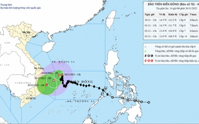 Bão số 15 hướng vào vùng biển từ Gia Lai đến Khánh Hòa 