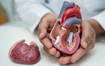 Hẹp van tim có chữa khỏi được không: Sự thật ít ai nói rõ!