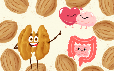 Infographic: Quả óc chó - Lợi ích và những điều cần lưu ý