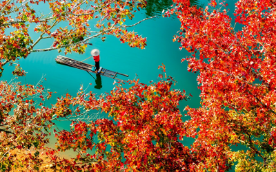 Tới Cao Bằng ngắm “mùa lá đỏ” đẹp nhất năm