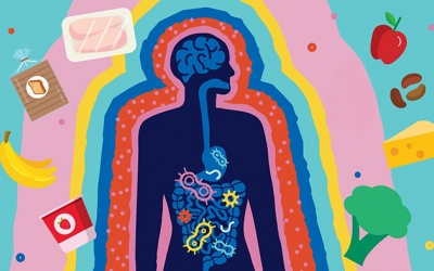 6 thói quen ăn uống khiến hệ vi sinh đường ruột suy yếu