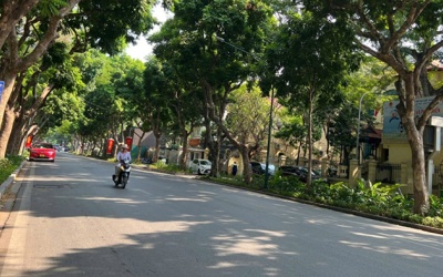 Bắc Bộ nắng ấm, Trung Bộ mưa lớn