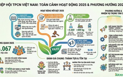 VAFF: Tổng kết năm 2025 và chiến lược làm sạch thị trường TPCN 2026