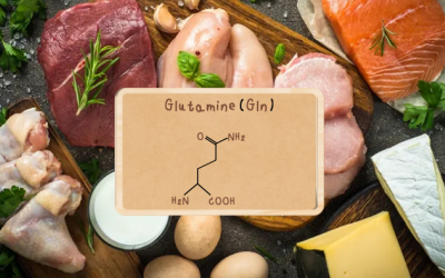 Glutamine: Dưỡng chất giúp dân thể thao phục hồi nhanh chóng
