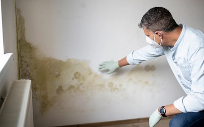 Thói quen nhỏ giúp ngăn ngừa nấm mốc trong nhà vào mùa Đông 