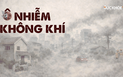 Infographic: Ô nhiễm không khí và sức khỏe con người