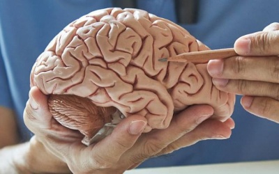 Ca mắc sa sút trí tuệ trẻ nhất nước Anh hiến não cho y học