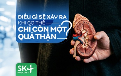 Podcast: Điều gì sẽ xảy ra khi cơ thể chỉ còn một quả thận?
