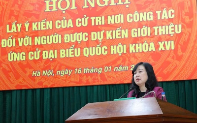 Bộ trưởng Đào Hồng Lan được giới thiệu ứng cử Đại biểu Quốc hội khóa XVI