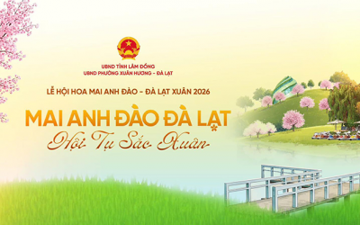 Infographic: Điểm nhấn tại Lễ hội Hoa mai anh đào Đà Lạt 