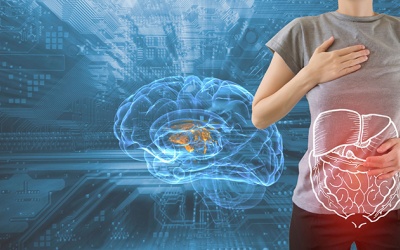 Hormone ghrelin ảnh hưởng đến cơ thể như thế nào?