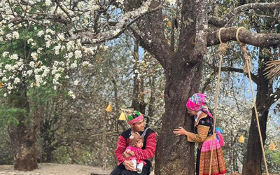 Infographic: Ngọc Chiến - Nậm Nghẹp mùa hoa sơn tra!