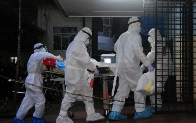 Việt Nam chưa ghi nhận ca mắc virus Nipah, nhiều nước kích hoạt tình trạng báo động