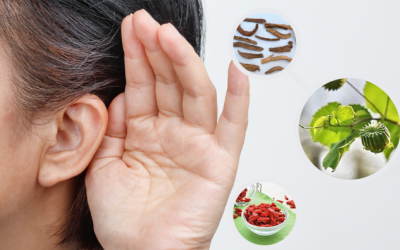 Một số thảo dược có ích với thính lực