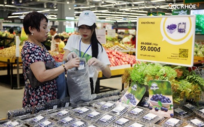 8 nhóm thực phẩm bắt buộc phải công bố tiêu chuẩn theo quy định mới