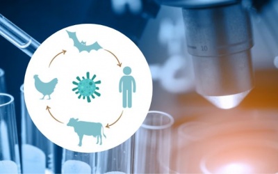 Những ổ chứa mầm bệnh vẫn đang âm thầm đe dọa con người