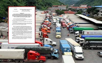 Chính phủ quyết định tạm ngưng hiệu lực và điều chỉnh thời hiệu Nghị định 46