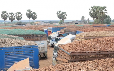 VCCI: Hội thảo “Tháo gỡ vướng mắc trong triển khai Luật An toàn thực phẩm”