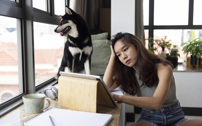 Tử vi thứ Bảy (7/2/2026): Sư Tử đang rất nghiêm túc làm việc, học tập