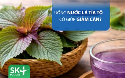 Podcast: Uống nước tía tô có giúp giảm cân sau Tết?