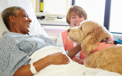 “Bạn đồng hành” đặc biệt của những người bệnh tâm thần