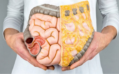 6 dưỡng chất giúp kiểm soát mỡ nội tạng