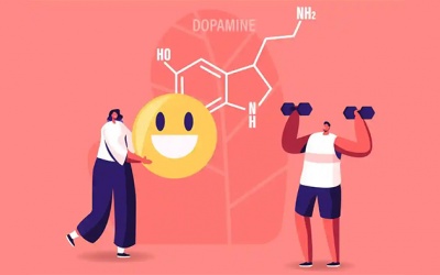 Bổ sung gì để thúc đẩy sản sinh dopamine một cách tự nhiên?