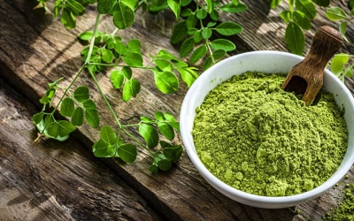 Công dụng chăm sóc sức khỏe đa năng của bột chùm ngây