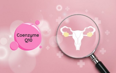 Lý do các cặp đôi hiếm muộn nên bổ sung Coenzyme Q10 