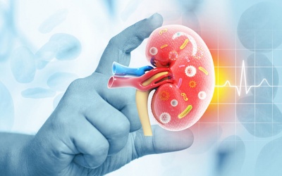 Phát hiện suy giảm chức năng thận: Cơ hội nào cho người bệnh?